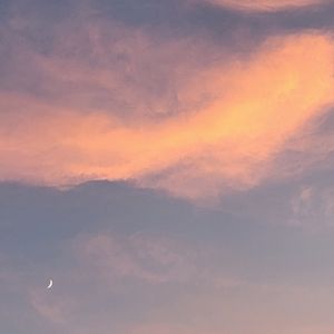 Meet your Posher, Ruby's Crew 👋